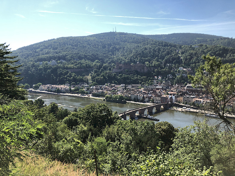 Zu sehen ist eine Landschaftsaufnahme von Heidelberg, mit Fokus auf die Heidelberger Brücke über dem Neckar.