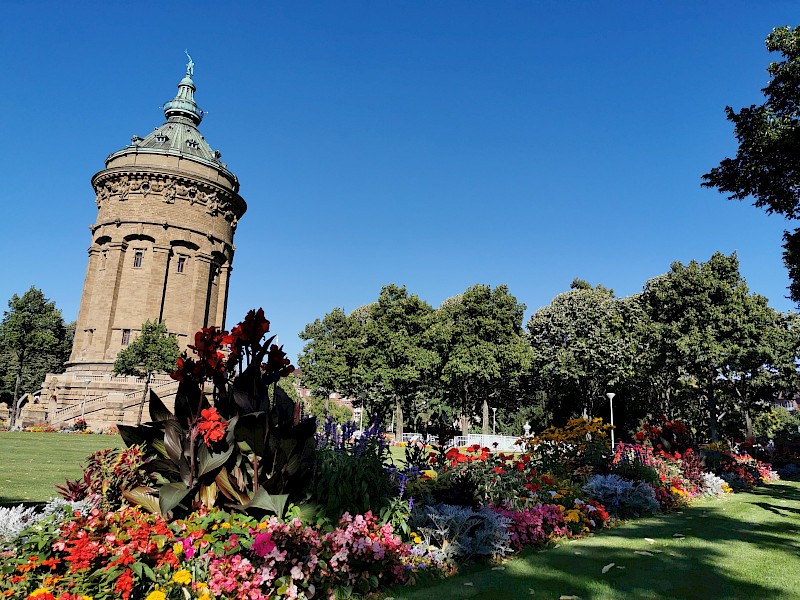 Hier ist der Wasserturm in Mannheim mit seiner Grünfläche und darauf befindlichen Blumen.